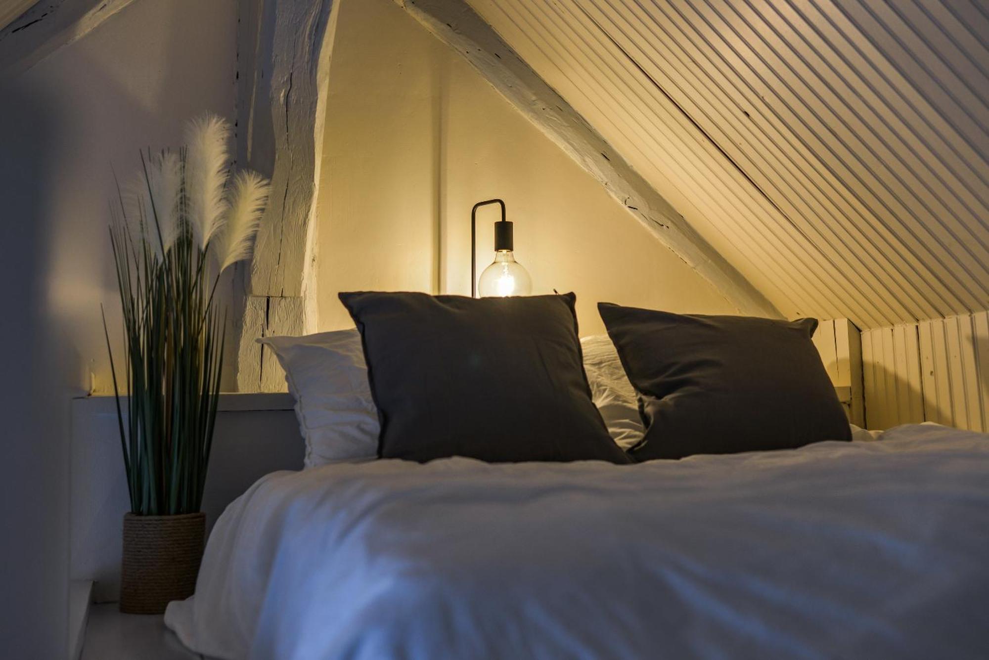 Le Saint-Martin - Hypercentre - Netflix Apartment ตูร์ ภายนอก รูปภาพ